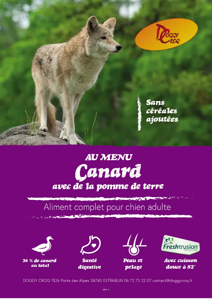 [DPT 12] Au Menu Bistro Chien Canard avec de la pomme de terre 12Kg